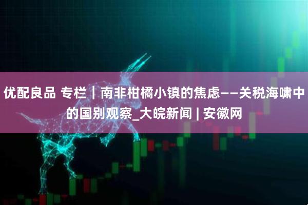 优配良品 专栏｜南非柑橘小镇的焦虑——关税海啸中的国别观察_大皖新闻 | 安徽网