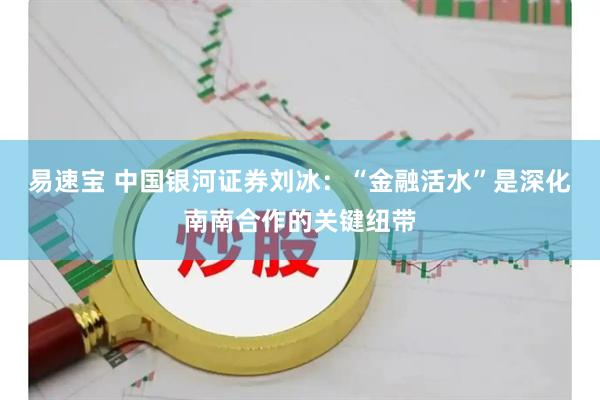 易速宝 中国银河证券刘冰：“金融活水”是深化南南合作的关键纽带