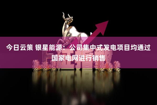 今日云策 银星能源：公司集中式发电项目均通过国家电网进行销售