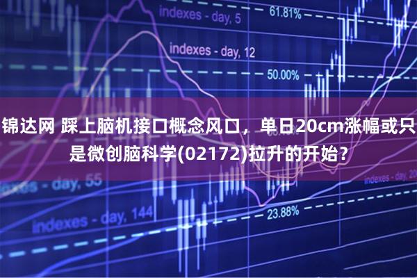 锦达网 踩上脑机接口概念风口，单日20cm涨幅或只是微创脑科学(02172)拉升的开始？