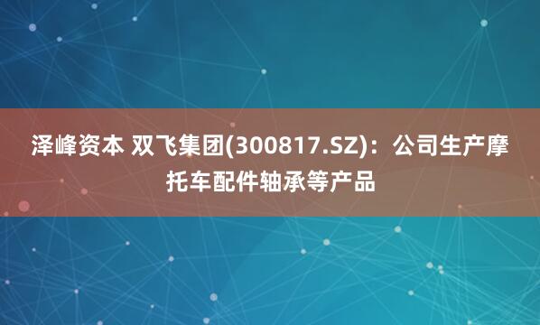 泽峰资本 双飞集团(300817.SZ)：公司生产摩托车配件轴承等产品