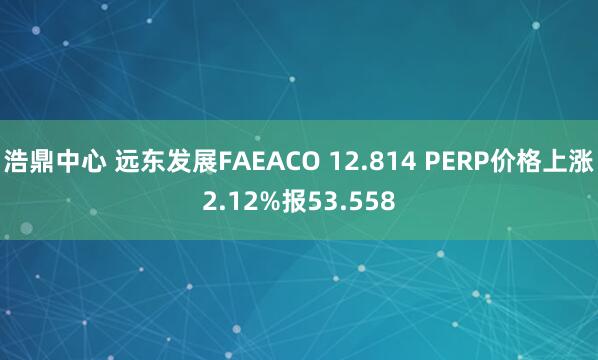 浩鼎中心 远东发展FAEACO 12.814 PERP价格上涨2.12%报53.558