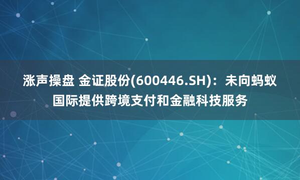 涨声操盘 金证股份(600446.SH)：未向蚂蚁国际提供跨境支付和金融科技服务