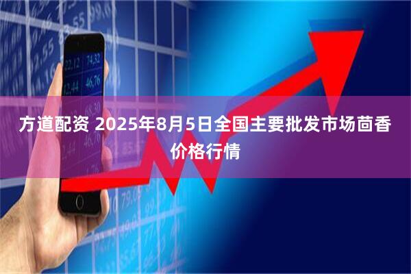 方道配资 2025年8月5日全国主要批发市场茴香价格行情