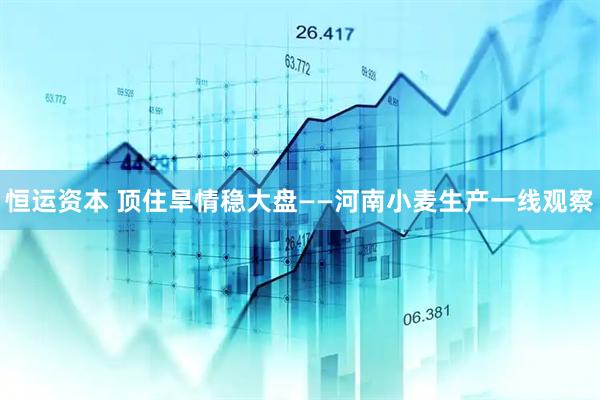 恒运资本 顶住旱情稳大盘——河南小麦生产一线观察