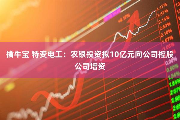 擒牛宝 特变电工：农银投资拟10亿元向公司控股公司增资