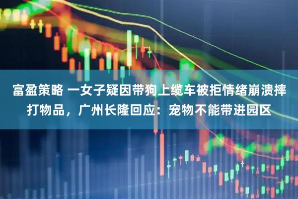 富盈策略 一女子疑因带狗上缆车被拒情绪崩溃摔打物品，广州长隆回应：宠物不能带进园区