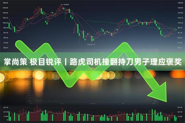掌尚策 极目锐评丨路虎司机撞翻持刀男子理应褒奖