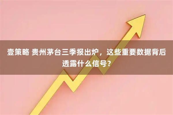 壹策略 贵州茅台三季报出炉，这些重要数据背后透露什么信号？