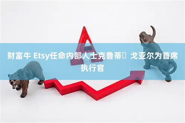 财富牛 Etsy任命内部人士克鲁蒂・戈亚尔为首席执行官