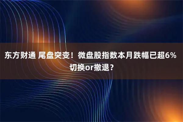 东方财通 尾盘突变！微盘股指数本月跌幅已超6% 切换or撤退？