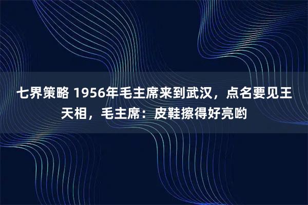 七界策略 1956年毛主席来到武汉，点名要见王天相，毛主席：皮鞋擦得好亮哟