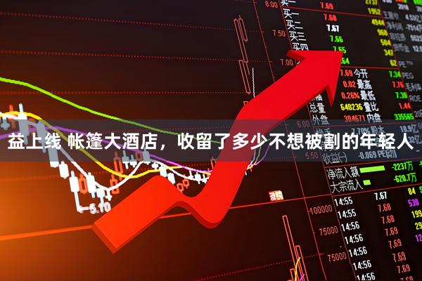 益上线 帐篷大酒店，收留了多少不想被割的年轻人