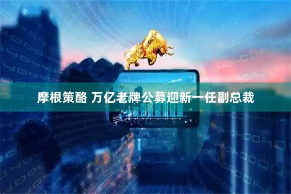 摩根策酪 万亿老牌公募迎新一任副总裁