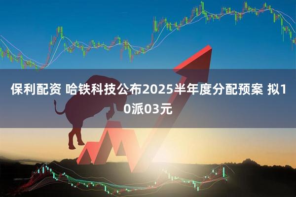 保利配资 哈铁科技公布2025半年度分配预案 拟10派03元
